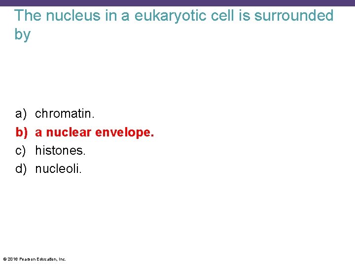 The nucleus in a eukaryotic cell is surrounded by a) b) c) d) chromatin.