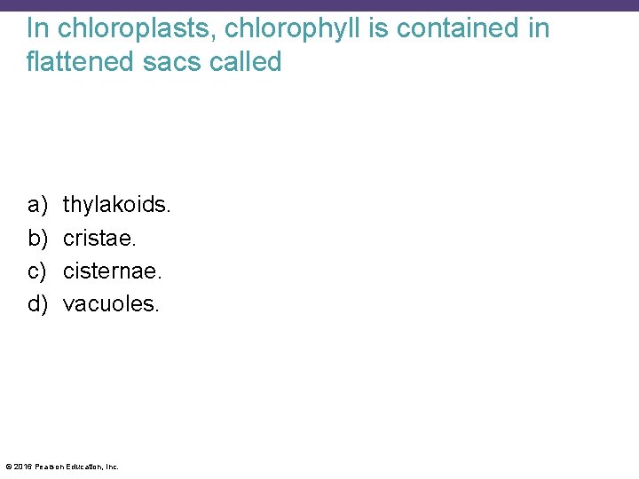 In chloroplasts, chlorophyll is contained in flattened sacs called a) b) c) d) thylakoids.