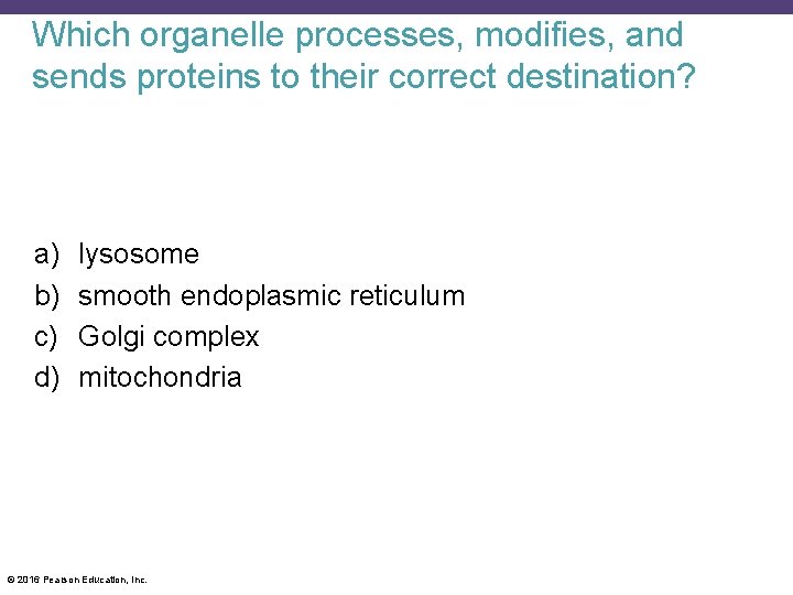 Which organelle processes, modifies, and sends proteins to their correct destination? a) b) c)