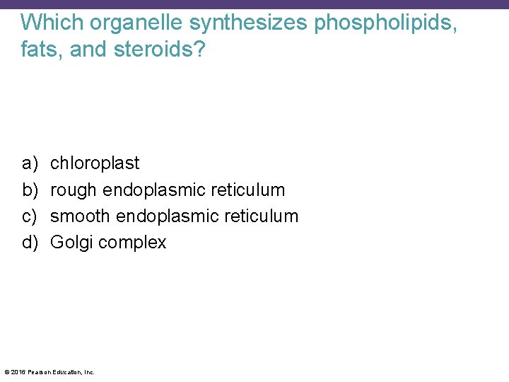 Which organelle synthesizes phospholipids, fats, and steroids? a) b) c) d) chloroplast rough endoplasmic