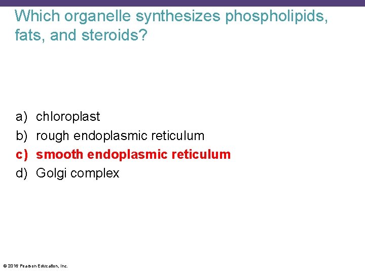 Which organelle synthesizes phospholipids, fats, and steroids? a) b) c) d) chloroplast rough endoplasmic