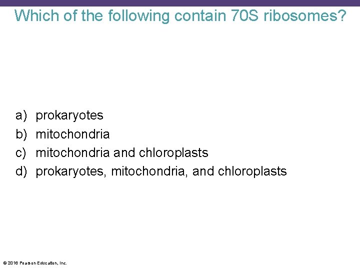 Which of the following contain 70 S ribosomes? a) b) c) d) prokaryotes mitochondria