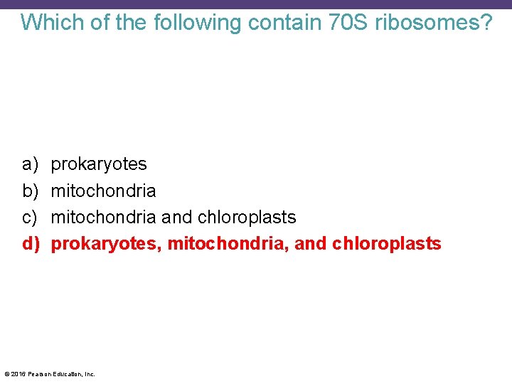 Which of the following contain 70 S ribosomes? a) b) c) d) prokaryotes mitochondria