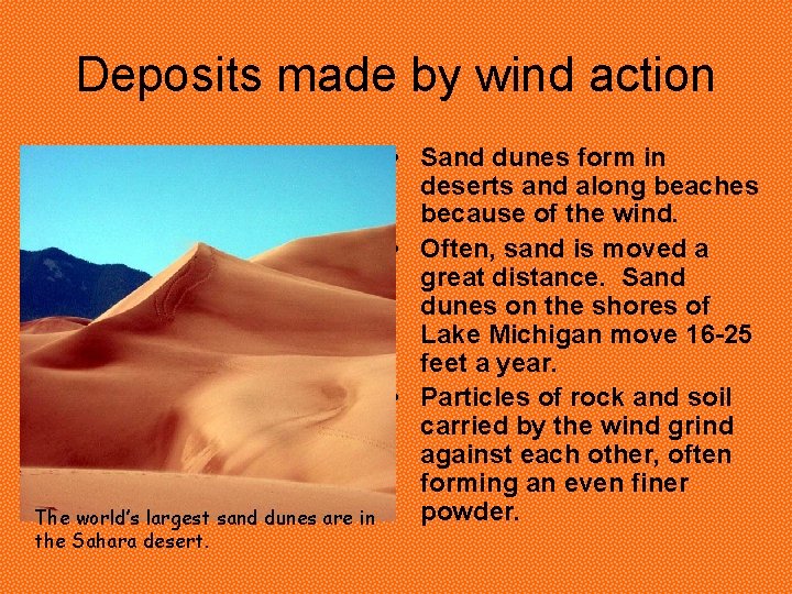 Deposits made by wind action The world’s largest sand dunes are in the Sahara Deposits made by wind action The world’s largest sand dunes are in the Sahara