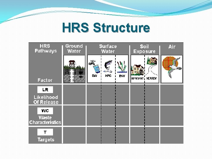 HRS Structure 