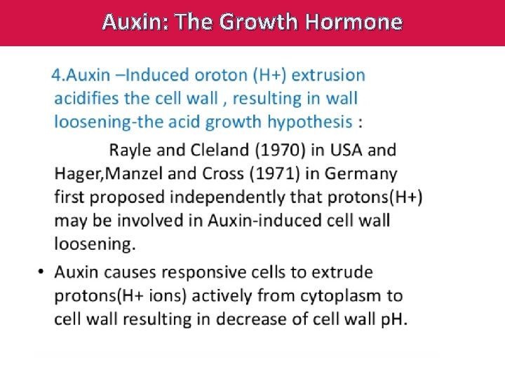 Auxin: The Growth Hormone 