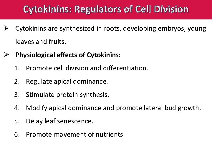 Cytokinins: Regulators of Cell Division Ø Cytokinins are synthesized in roots, developing embryos, young