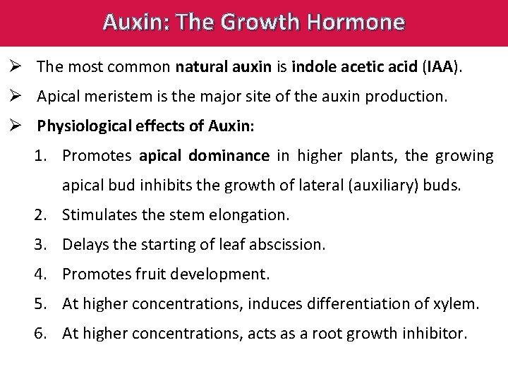 Auxin: The Growth Hormone Ø The most common natural auxin is indole acetic acid