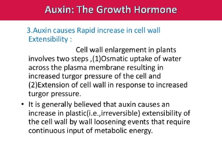Auxin: The Growth Hormone 