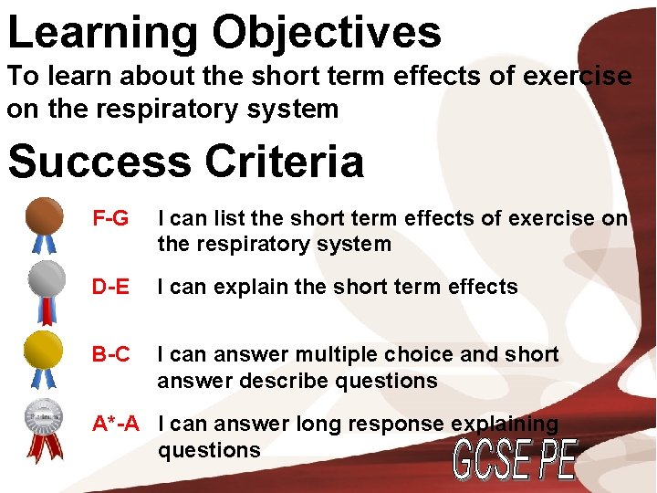 Learning Objectives To learn about the short term effects of exercise on the respiratory