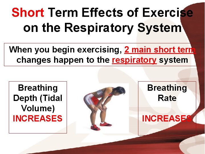 Short Term Effects of Exercise on the Respiratory System When you begin exercising, 2