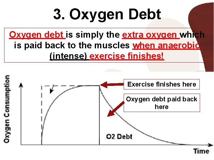3. Oxygen Debt Oxygen debt is simply the extra oxygen which is paid back