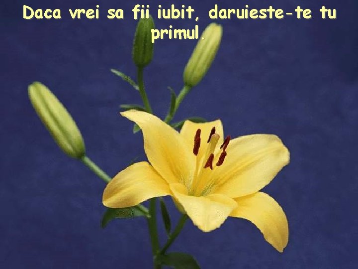 Daca vrei sa fii iubit, daruieste-te tu primul. 