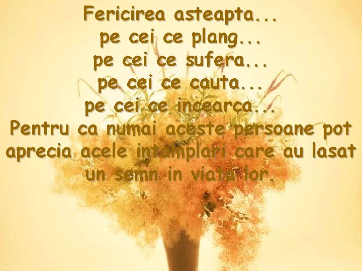 Fericirea asteapta. . . pe cei ce plang. . . pe cei ce sufera.