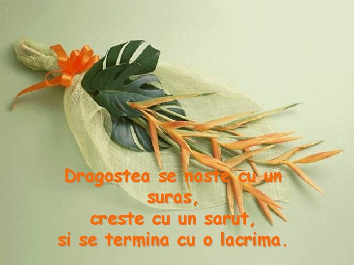 Dragostea se naste cu un suras, creste cu un sarut, si se termina cu