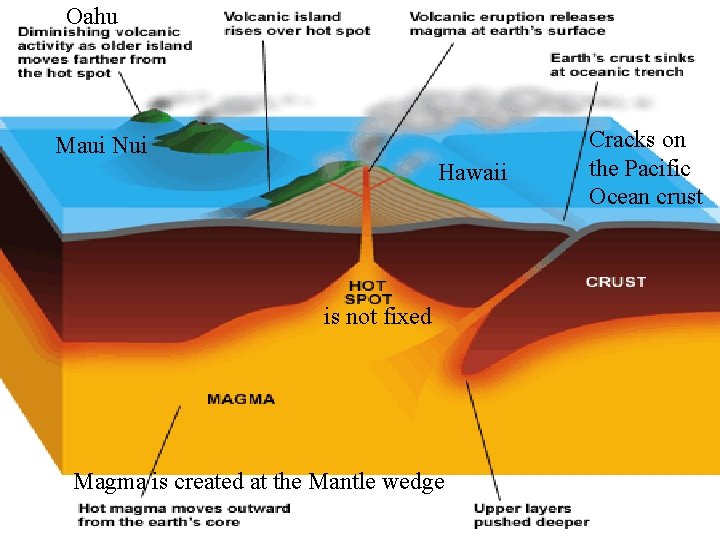 Oahu Maui Nui Hawaii is not fixed Magma is created at the Mantle wedge