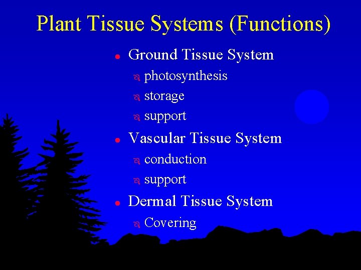 Plant Tissue Systems (Functions) l Ground Tissue System photosynthesis Ô storage Ô support Ô