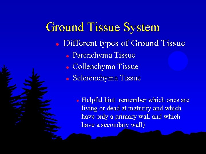 Ground Tissue System l Different types of Ground Tissue l l l Parenchyma Tissue