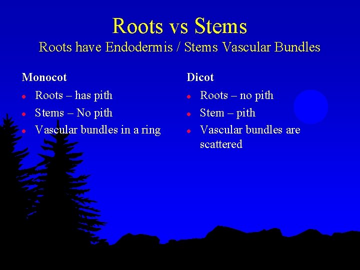 Roots vs Stems Roots have Endodermis / Stems Vascular Bundles Monocot l l l