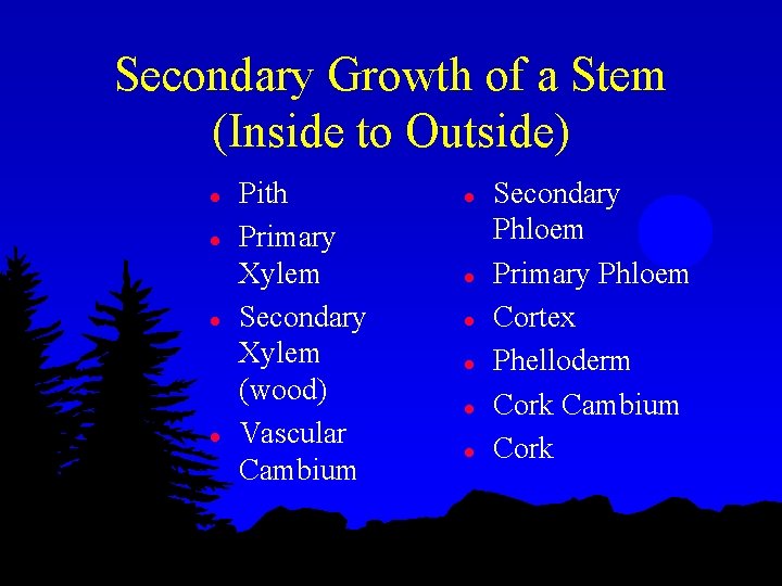 Secondary Growth of a Stem (Inside to Outside) l l Pith Primary Xylem Secondary