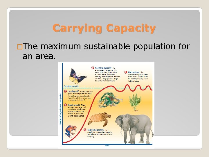 Carrying Capacity �The maximum sustainable population for an area. 