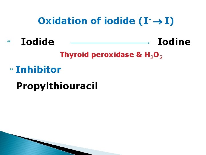 Oxidation of iodide (I- I) Iodide Iodine Thyroid peroxidase & H 2 O 2