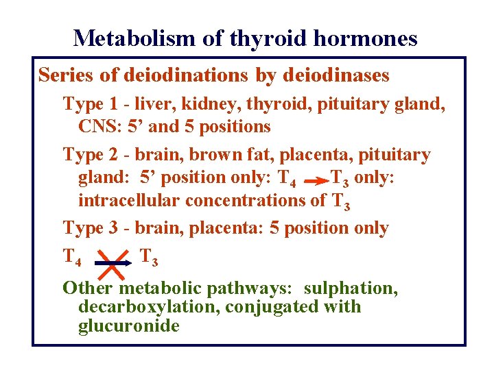 Metabolism of thyroid hormones Series of deiodinations by deiodinases Type 1 - liver, kidney,