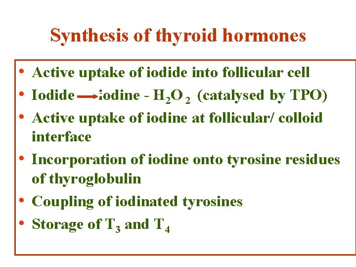 Synthesis of thyroid hormones • Active uptake of iodide into follicular cell • Iodide