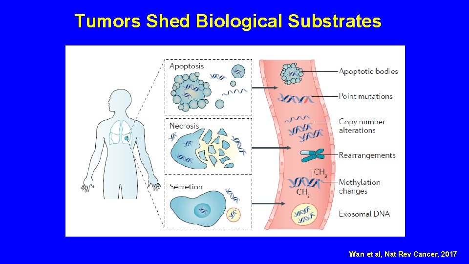 Tumors Shed Biological Substrates Wan et al, Nat Rev Cancer, 2017 