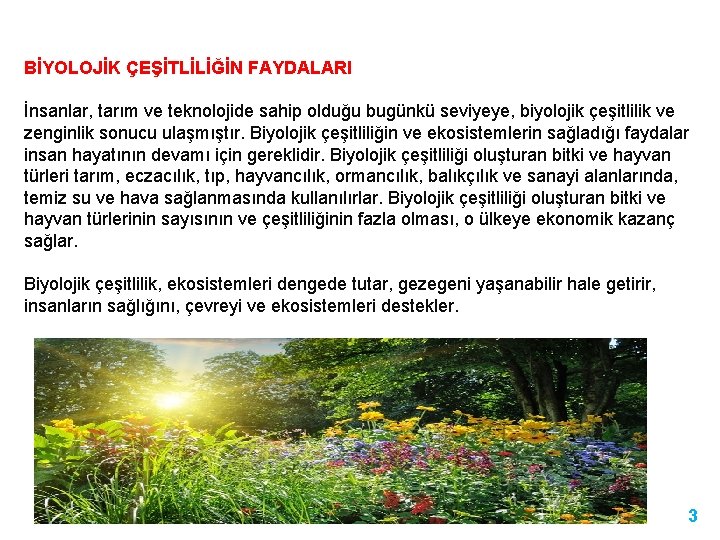 BİYOLOJİK ÇEŞİTLİLİĞİN FAYDALARI İnsanlar, tarım ve teknolojide sahip olduğu bugünkü seviyeye, biyolojik çeşitlilik ve