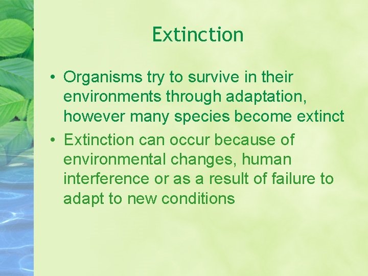 Extinction • Organisms try to survive in their environments through adaptation, however many species