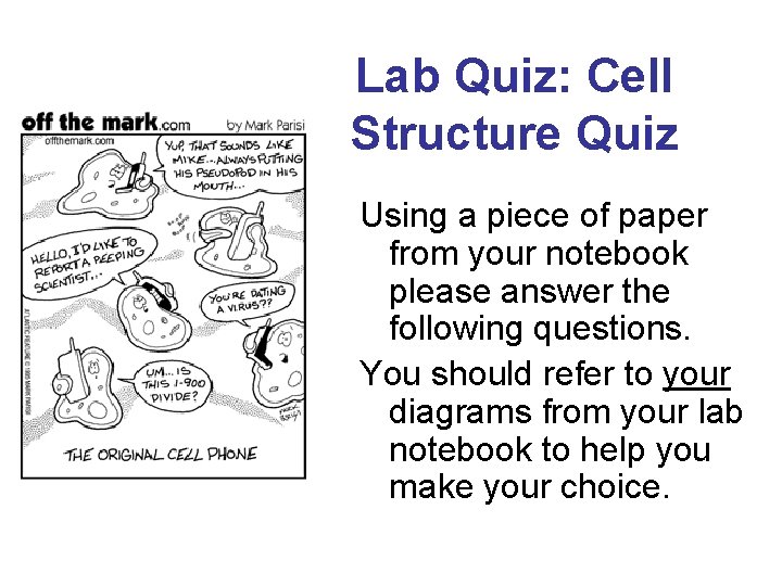 Lab Quiz: Cell Structure Quiz Using a piece of paper from your notebook please