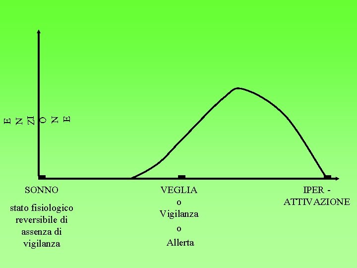 E N ZI O N E SONNO stato fisiologico reversibile di assenza di vigilanza