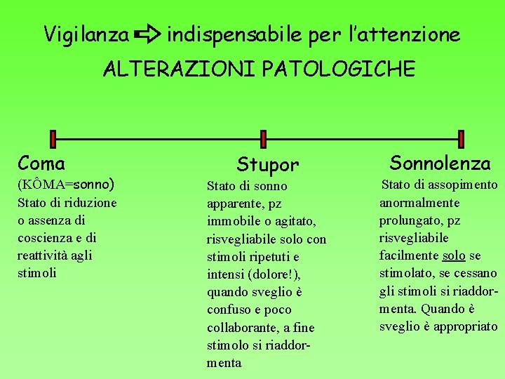 Vigilanza indispensabile per l’attenzione ALTERAZIONI PATOLOGICHE Coma (KÔMA=sonno) Stato di riduzione o assenza di