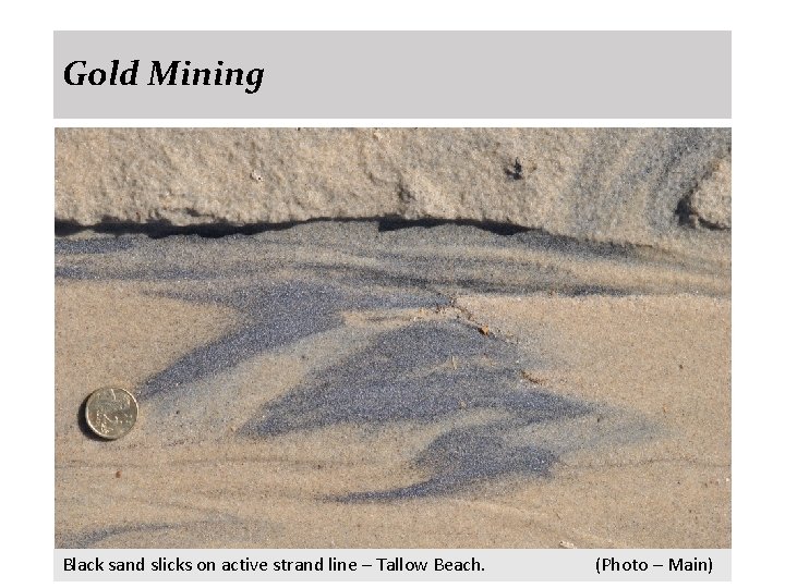 Gold Mining Black sand slicks on active strand line – Tallow Beach. (Photo –
