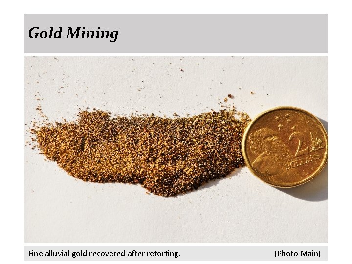 Gold Mining Fine alluvial gold recovered after retorting. (Photo Main) 