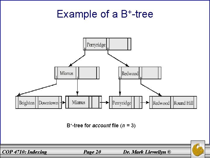 Example of a B+-tree for account file (n = 3) COP 4710: Indexing Page