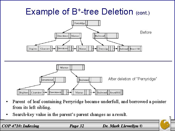 Example of B+-tree Deletion (cont. ) Before After deletion of “Perryridge” • Parent of Example of B+-tree Deletion (cont. ) Before After deletion of “Perryridge” • Parent of