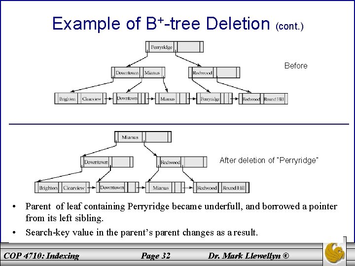 Example of B+-tree Deletion (cont. ) Before After deletion of “Perryridge” • Parent of