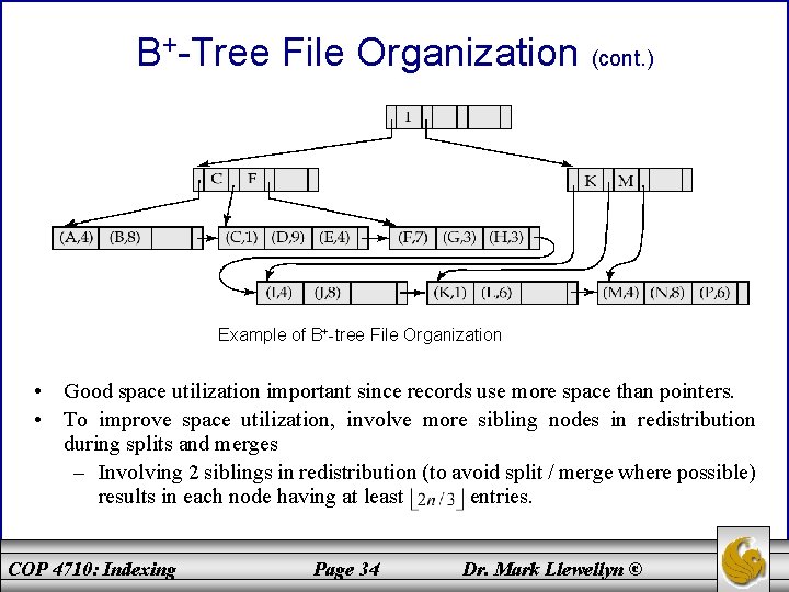 B+-Tree File Organization (cont. ) Example of B+-tree File Organization • Good space utilization