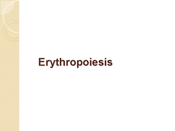 Erythropoiesis 