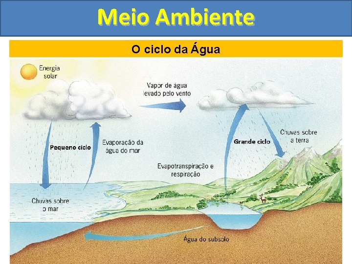 Meio Ambiente O ciclo da Água 