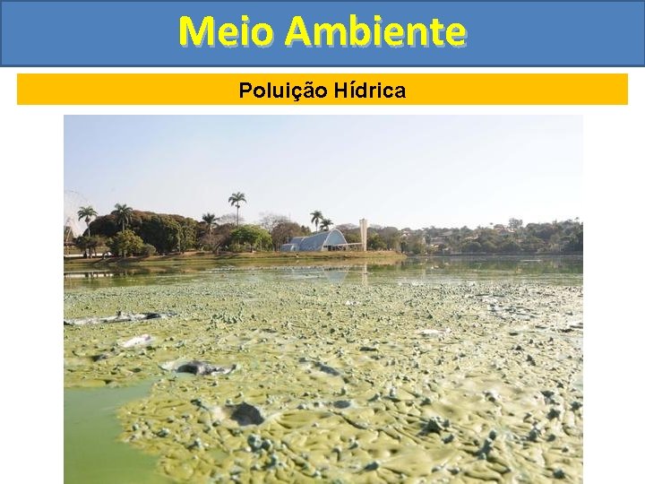 Meio Ambiente Poluição Hídrica 