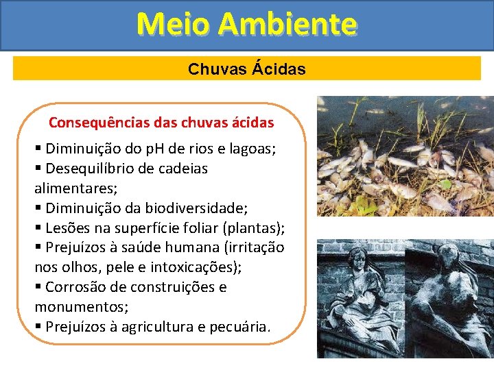 Meio Ambiente Chuvas Ácidas Consequências das chuvas ácidas § Diminuição do p. H de