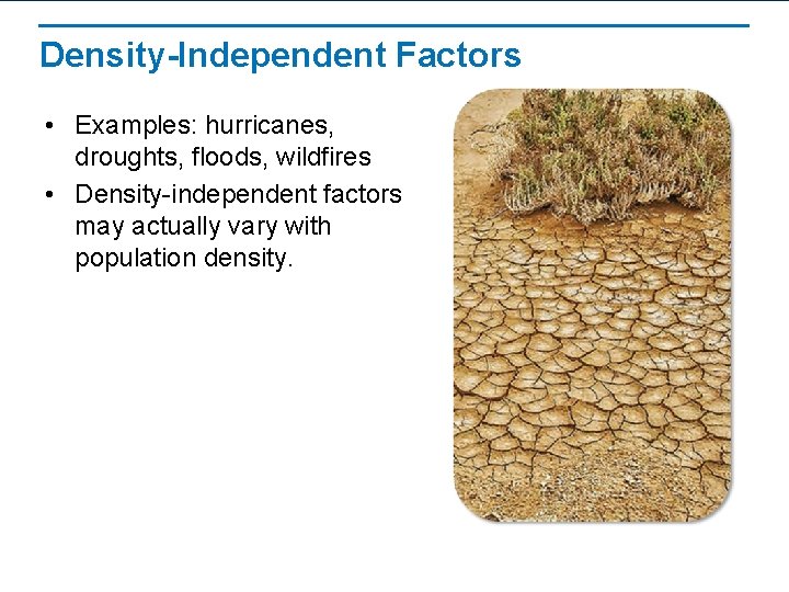 Density-Independent Factors • Examples: hurricanes, droughts, floods, wildfires • Density-independent factors may actually vary