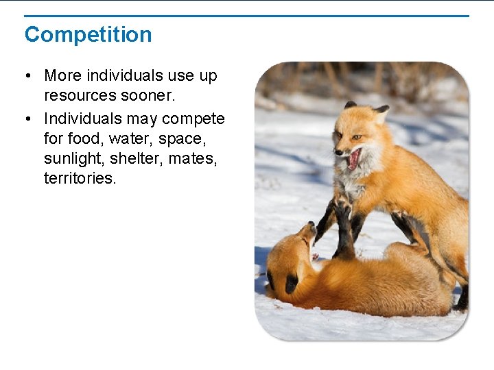 Competition • More individuals use up resources sooner. • Individuals may compete for food,