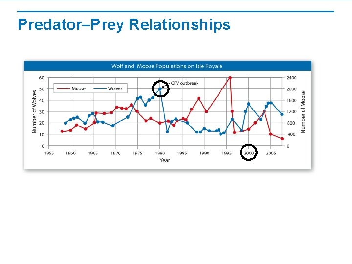 Predator–Prey Relationships 
