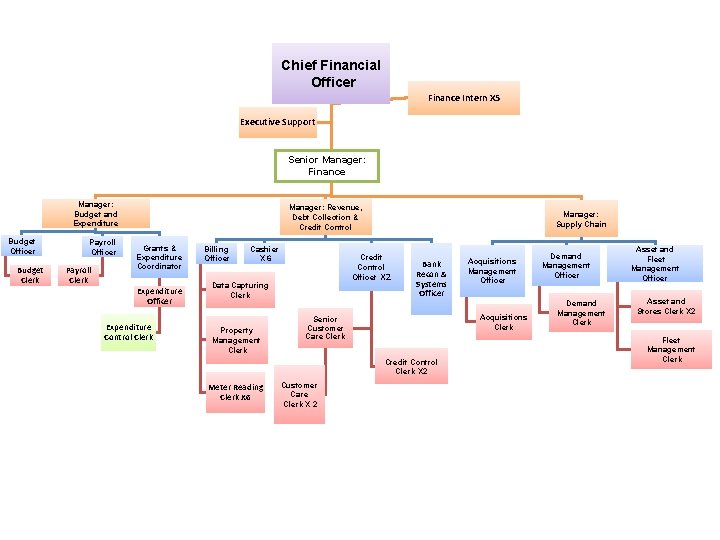 Chief Financial Officer Finance Intern X 5 Executive Support Senior Manager: Finance Manager: Budget