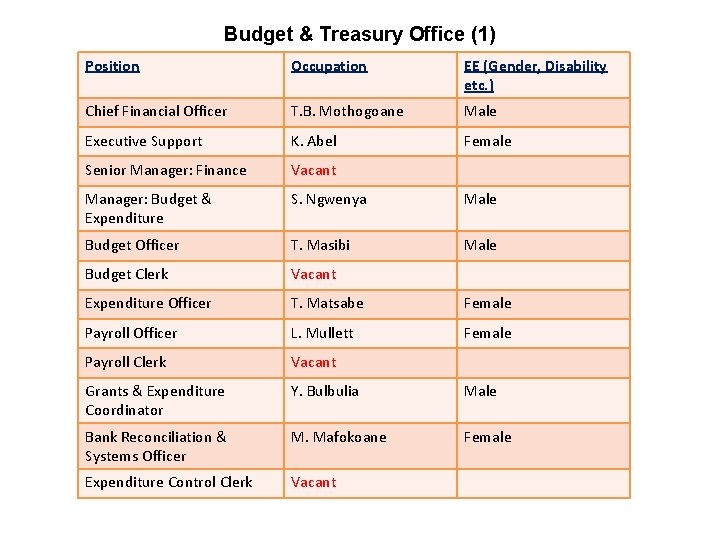 Budget & Treasury Office (1) Position Occupation EE (Gender, Disability etc. ) Chief Financial