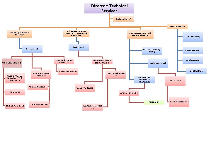 Director: Technical Services Executive Support PMU: Coordinator Unit Manager: Roads & Transport; Storm Water